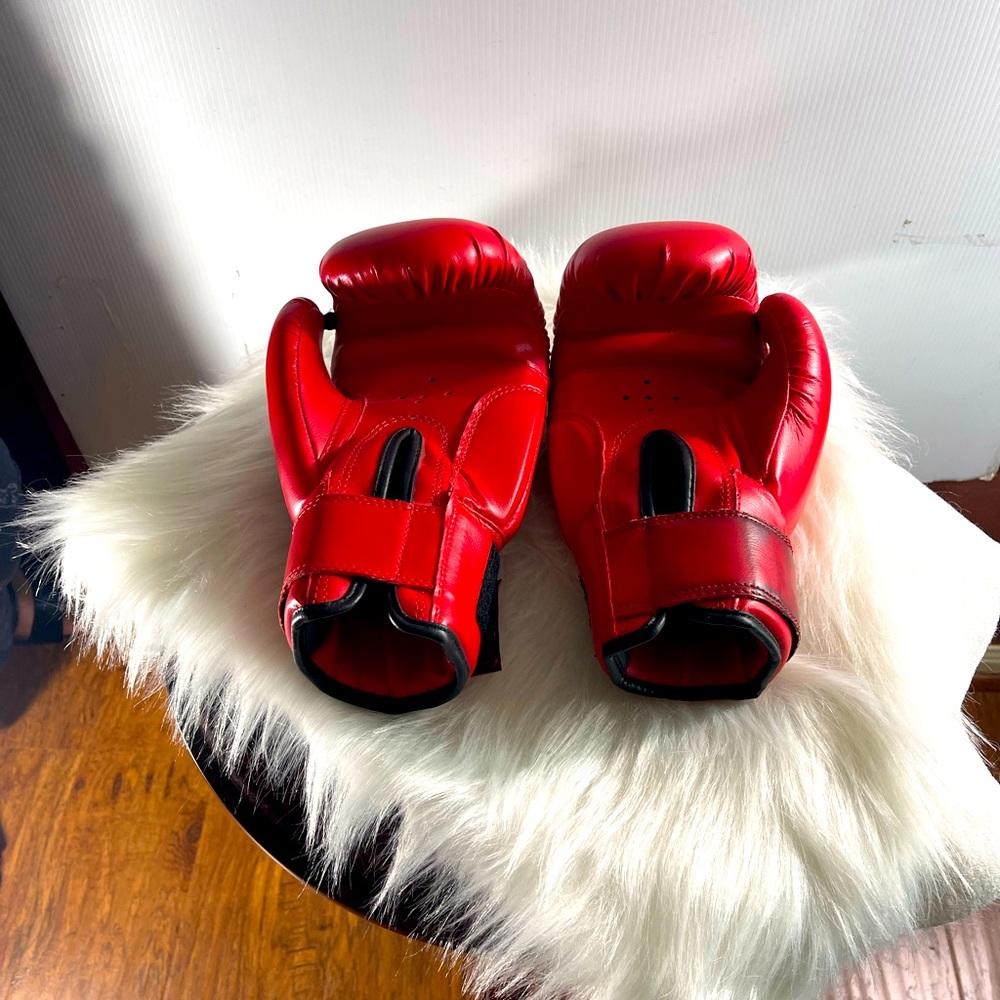 Training Boxing Equipment View 2